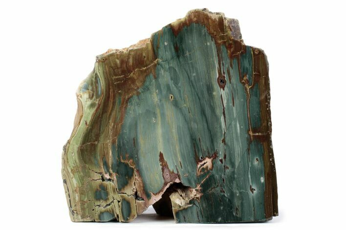 Freestanding Gary Green Jasper (Larsonite) Bog Wood - Oregon #377815